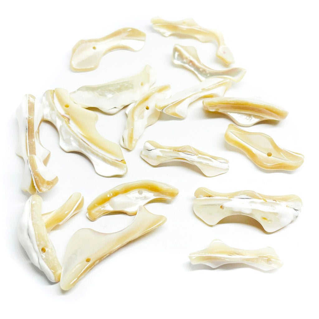 Ramitas de nácar natural - 10und