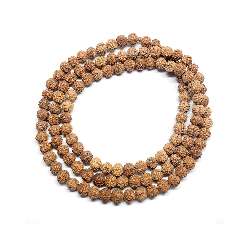 Semillas de Rudraksha 6mm aprox - Collar