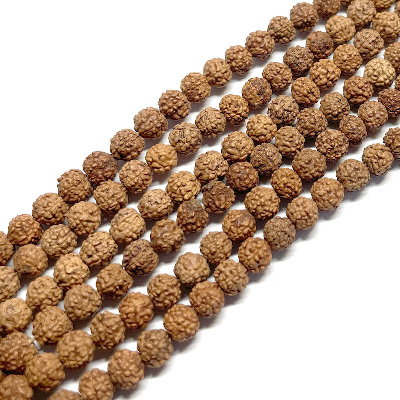 Semillas de Rudraksha 6mm aprox - Collar