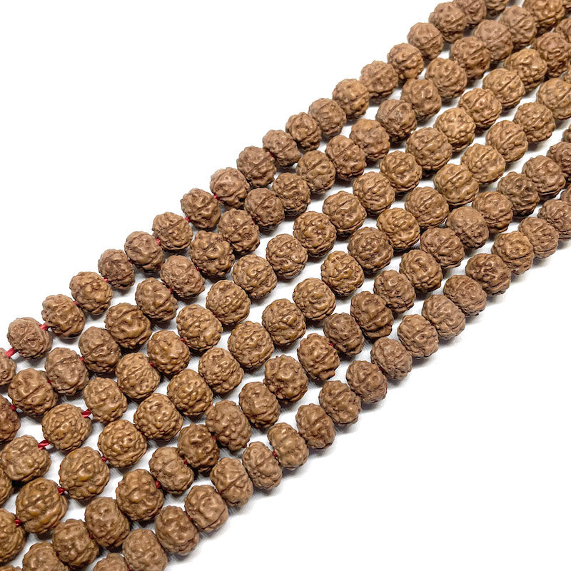 Semillas de Rudraksha tipo dona 6x8 - Collar