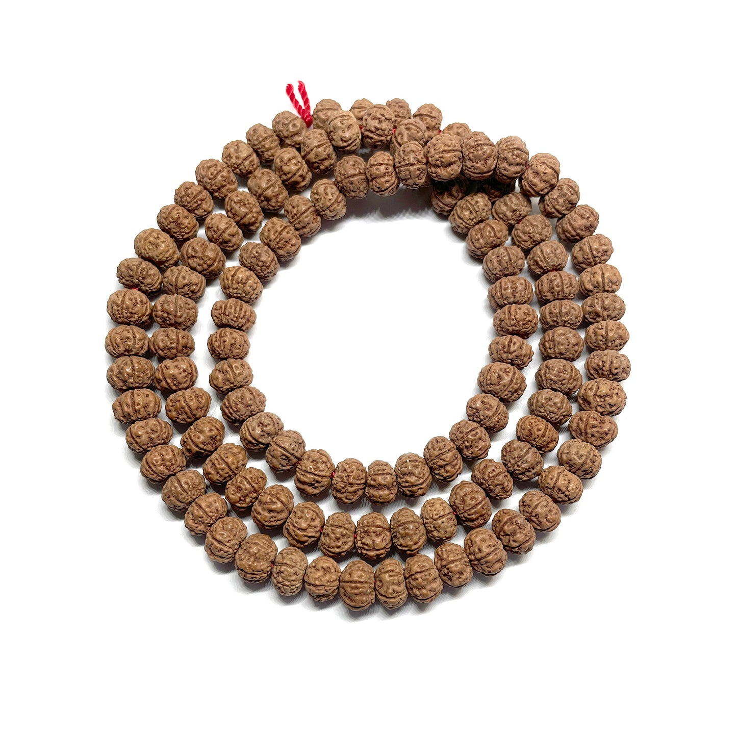 Semillas de Rudraksha tipo dona 5x7 - Collar