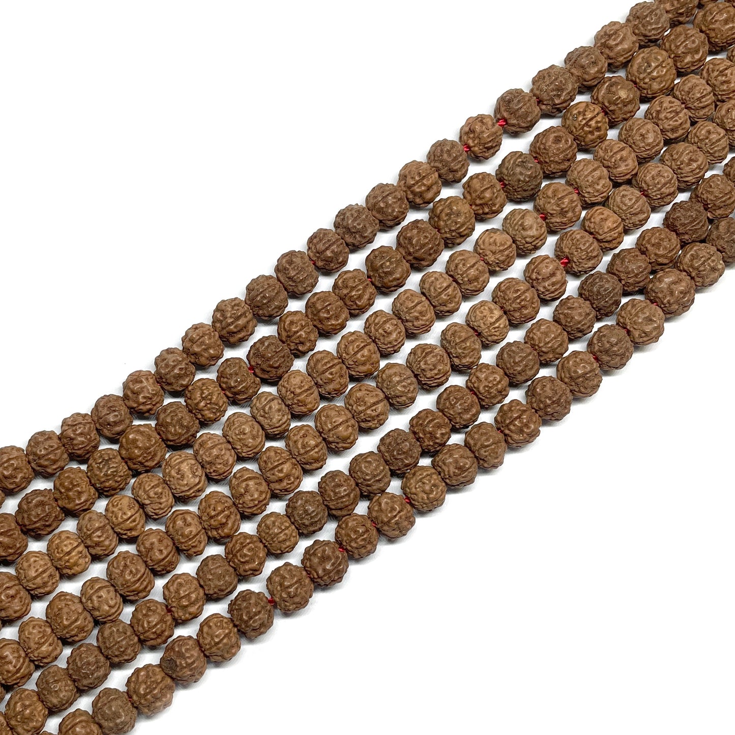 Semillas de Rudraksha tipo dona 5x7 - Collar